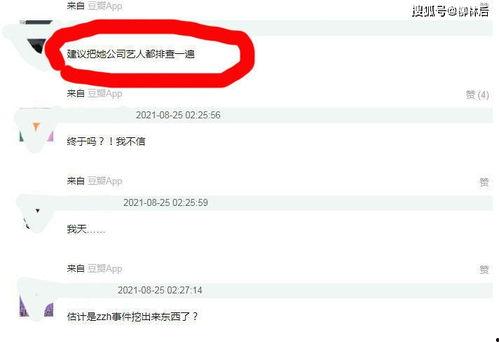 网络吃瓜飞卢网,飞卢网背后的精彩故事