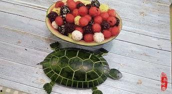 网红瓜去哪吃比较好,揭秘瓜界美食新宠