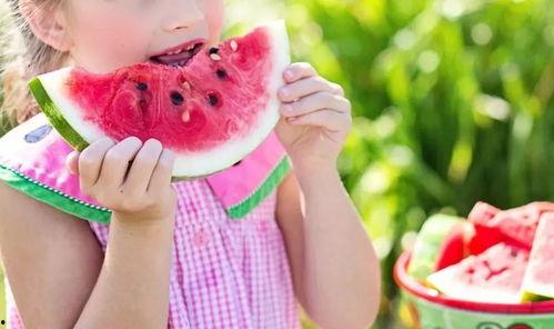 吃瓜小熊网红是谁的粉丝,揭秘其背后的粉丝力量