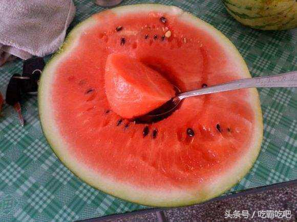 日更吃瓜网,揭秘娱乐圈最新热点，带你畅游八卦海洋