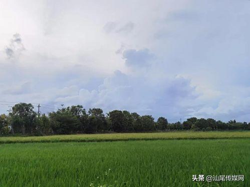 吃瓜骂农村人的网红视频,吃瓜群众热议农村人形象