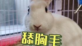 吃瓜恶心事件网红