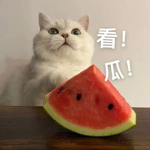 吃瓜八卦网红是谁呀,吃瓜八卦网红背后的故事