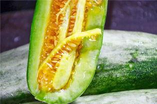 网红吃瓜公众号推荐,揭秘娱乐圈最新热点事件，带你一探究竟！