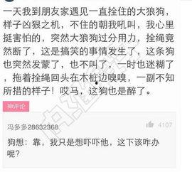 网课吃瓜搞笑图片大全集,搞笑图片大全集带你领略云端欢乐时光