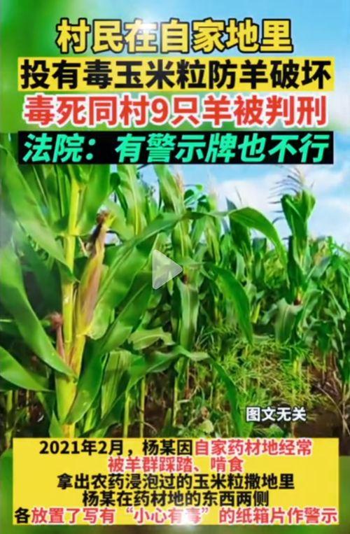 五一吃瓜网今日吃瓜官网,揭秘今日热门吃瓜事件，官网独家爆料！