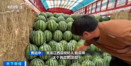 网红我勒个豆吃瓜,揭秘网红背后的真实故事