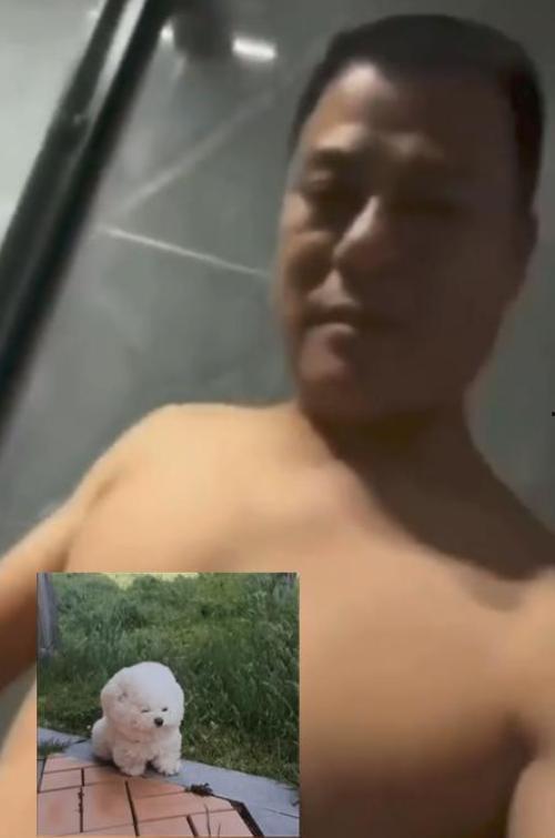 杨爸遛鸟吃瓜网,揭秘网络红人的日常生活