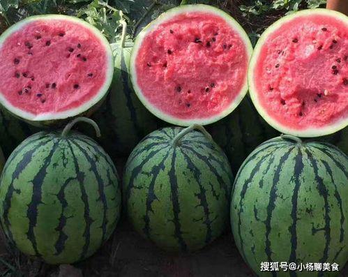 在线免费吃瓜官网,畅享海量资讯，轻松成为吃瓜群众