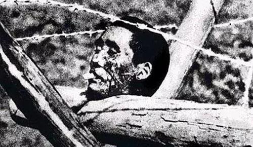 吃瓜网砍头颅事件,网络暴力与道德沦丧的警示