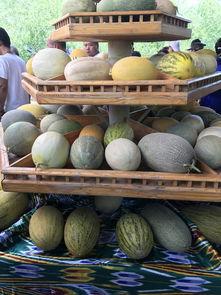 新疆吃瓜网红,瓜田里的美食探险家