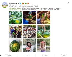 吃瓜学院官网,揭秘娱乐圈幕后真相，带你走进吃瓜界的知识殿堂