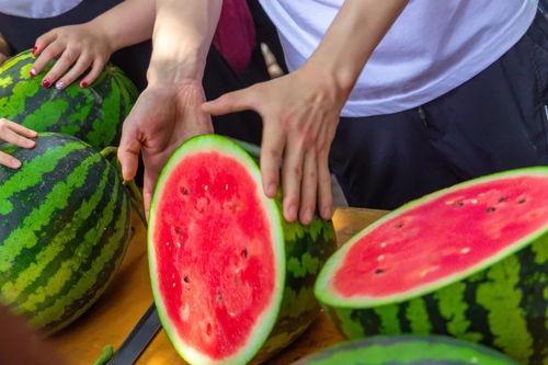 吃瓜学院官网,揭秘娱乐圈幕后真相，带你走进吃瓜界的知识殿堂