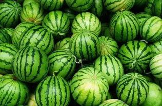 吃瓜群群名网红,揭秘吃瓜群网红背后的故事