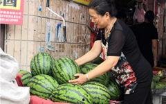 东北网红吃瓜群众是谁