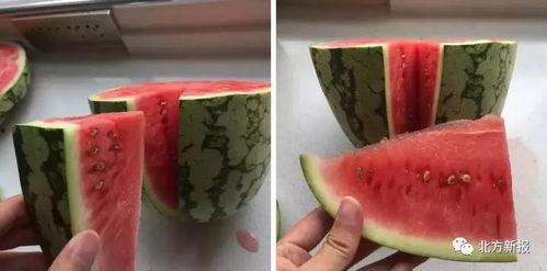 假瓜吃料网,揭秘网络谣言背后的真相