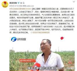 人民日报吃瓜网