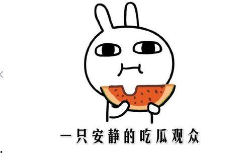 吃瓜网红都有谁