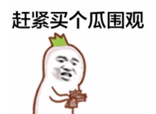 主播网红吃瓜表情包下载,捕捉主播搞笑瞬间