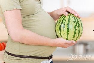 孕妇可以吃网瓜,网瓜的营养与食用指南