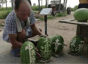 农村网红吃瓜事件视频,揭秘网络红人背后的真实生活