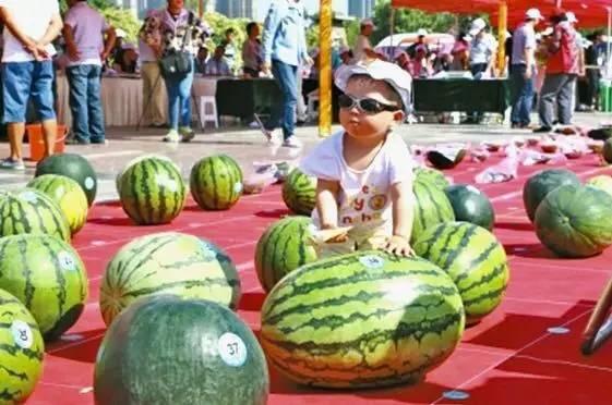 吃瓜王官网,带你领略网络娱乐新风向