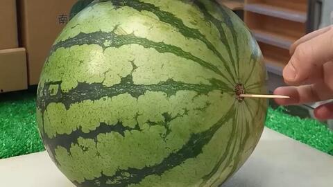 吃瓜网潍坊跳舞,吃瓜网带你领略舞蹈魅力