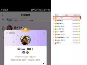 网爆吃瓜爆料视频下载免费,免费下载背后的真相