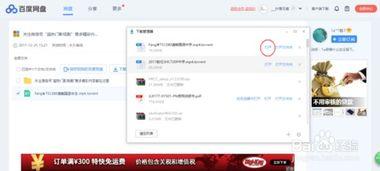 吃瓜大鹅小说百度云网盘,揭秘百度云网盘中的神秘世界