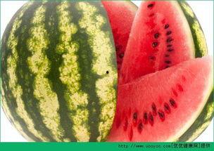 每日分享吃瓜网红,揭秘每日分享吃瓜网红的爆红之路