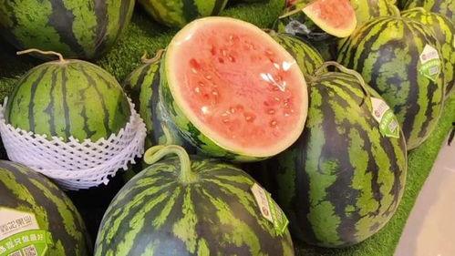 每日分享吃瓜网红,揭秘每日分享吃瓜网红的爆红之路