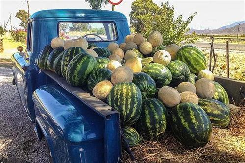 云南网红吃瓜事件真相视频,揭秘真相背后的惊人内幕