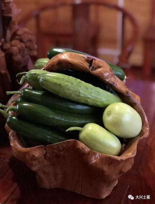 泰安网红吃瓜,揭秘网络红人的幕后故事