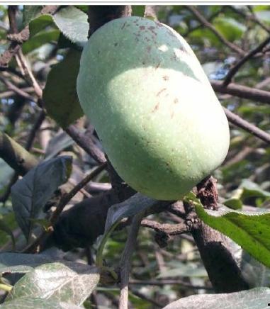 吃瓜网红头像照片怎么弄,从吃瓜网红头像照片看潮流文化演变