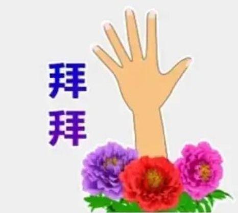 网红吃瓜搞笑表情包动态,笑料横飞，欢乐无限！