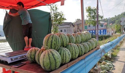 滨州吃瓜网红事件,揭秘网络舆论的风暴与真相