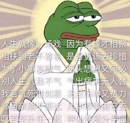 佛系女配在线吃瓜TXT网盘,佛系女配的悠闲吃瓜日常