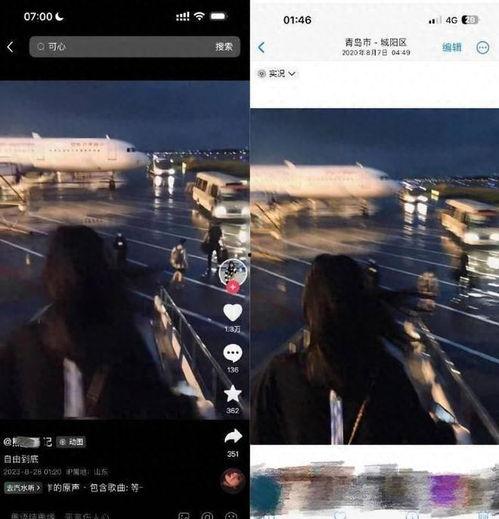 网红前男友吃瓜视频,揭秘娱乐圈背后的情感纠葛