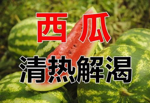718娱乐吃瓜官网入口看天气,天气变化背后的娱乐风云”