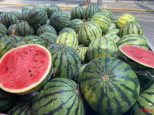 网红小雨吃大瓜图片大全