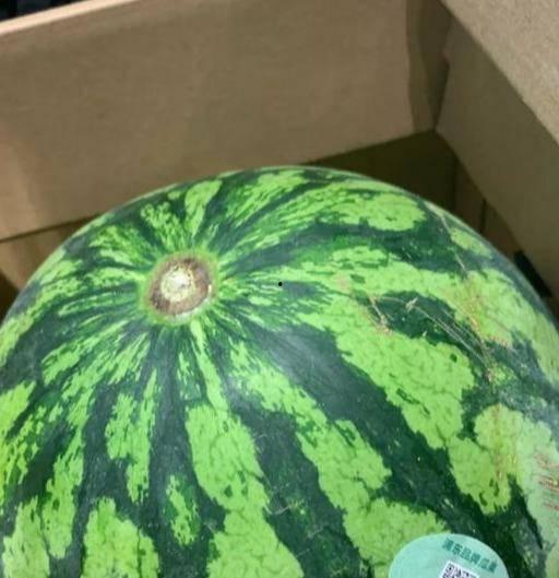 假瓜吃料网,揭秘网络谣言背后的真相