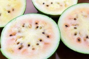 富县网红吃瓜事件真相视频