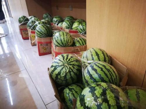 直播吃瓜的网红