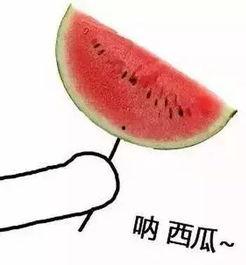 带你吃瓜奇葩网购物品,带你揭秘那些令人捧腹的奇葩网购物品