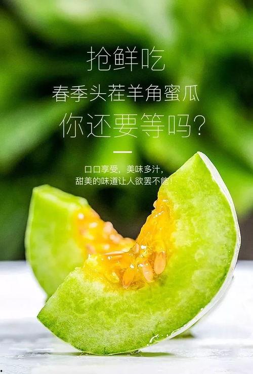 在哪可以吃网红瓜,探寻全国美食打卡地